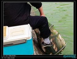 钓鱼爆料视频最新版,揭秘钓鱼技巧与陷阱 第3张 钓鱼爆料视频最新版,揭秘钓鱼技巧与陷阱 第3张